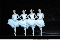 Swan Lake 2015 The Australian Ballet © Branco Gaica