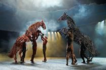 War Horse 2020 Sydney Lyric Theatre